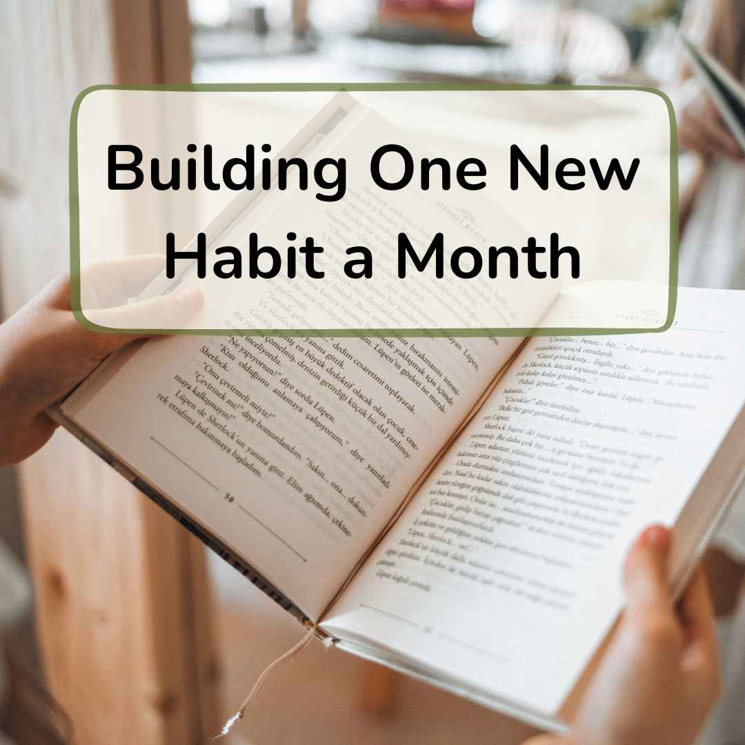 one new habit a month